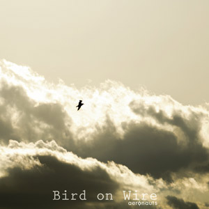 Bird on Wire cover art